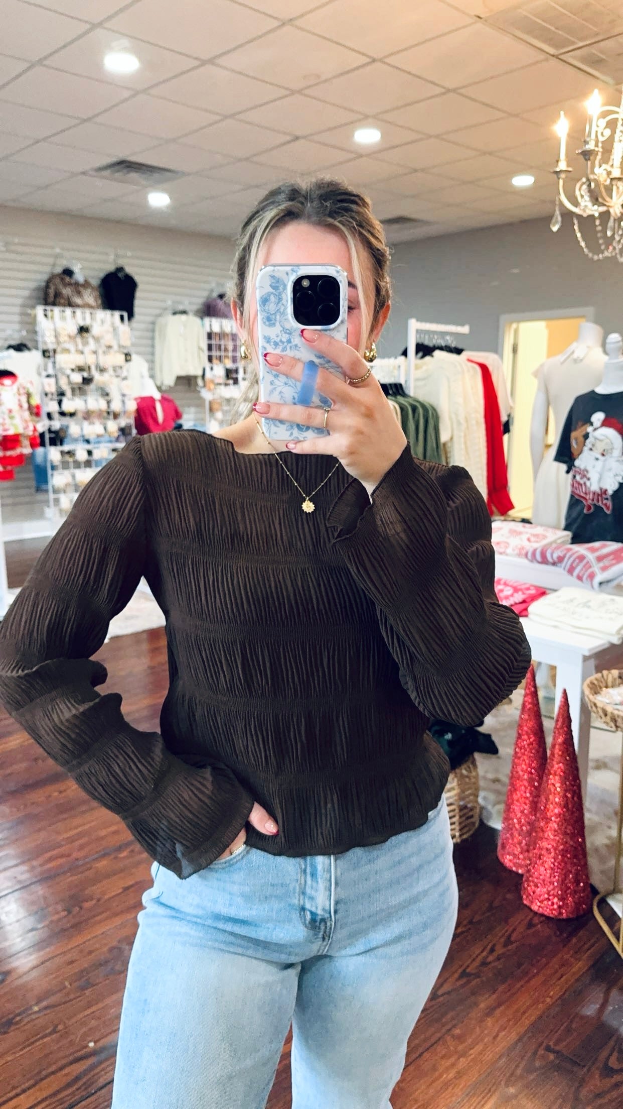 Brown Sheer Blouse